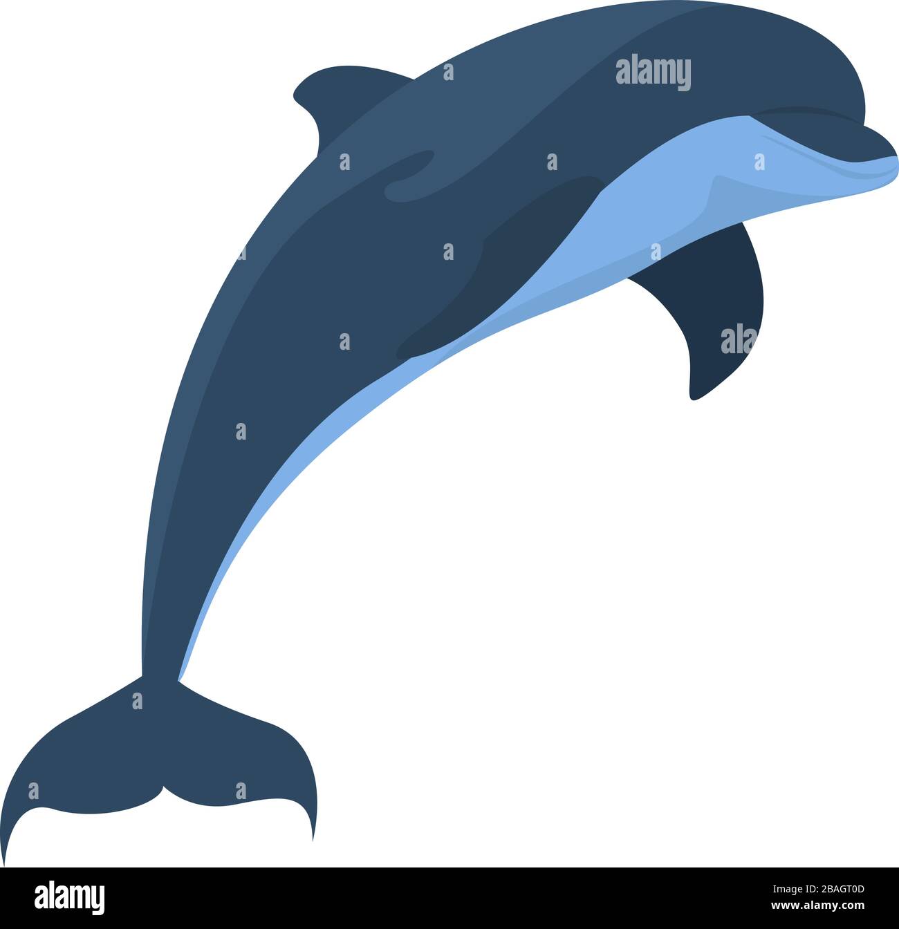 Dolphin jumping, illustration, vector on white background Stock Vector