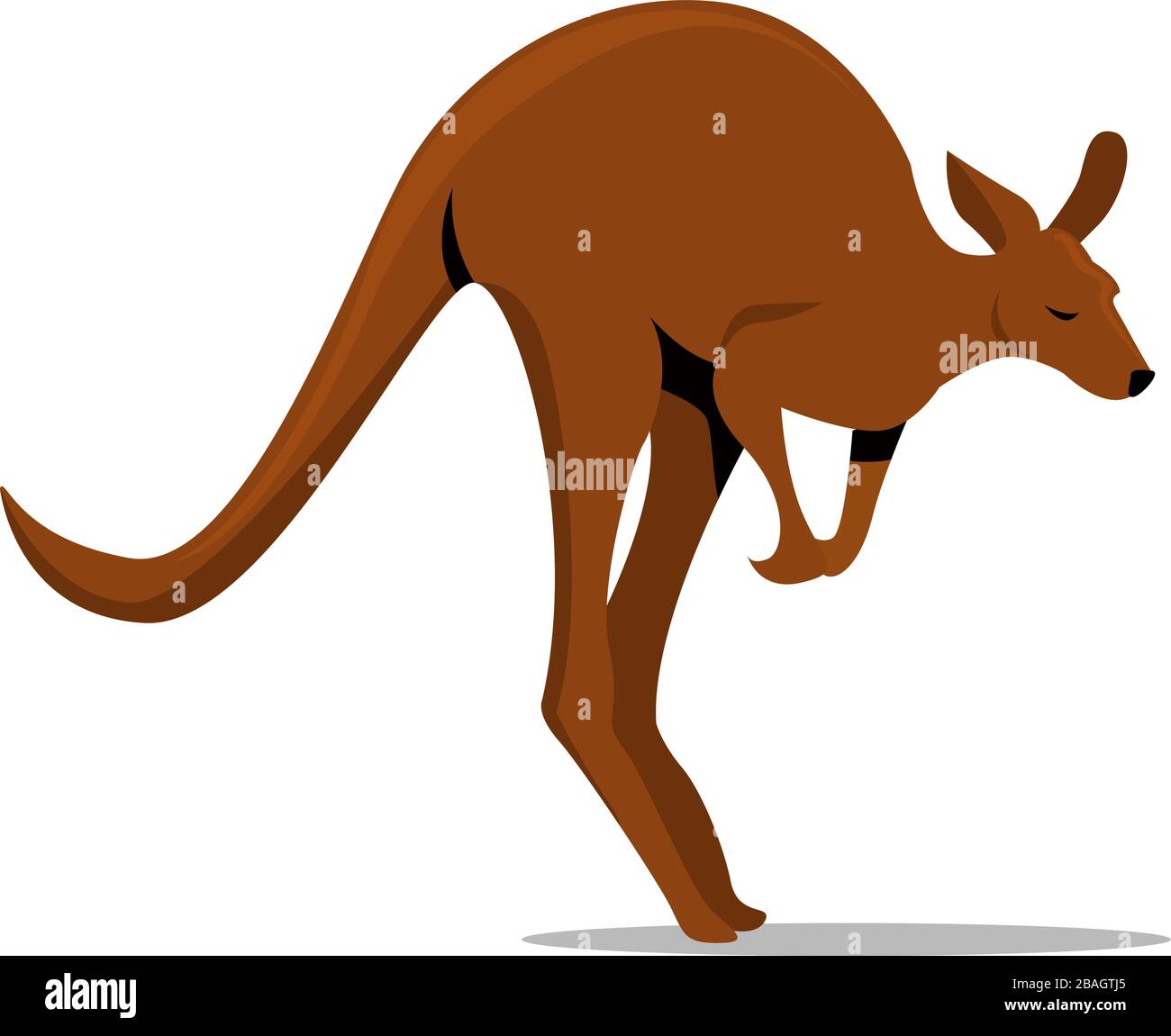 Female Jumping Kangaroo High Resolution Stock Photography and Images