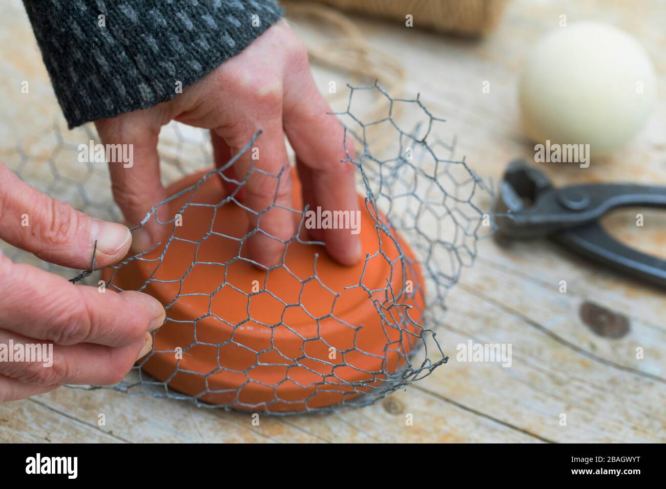 making a holder for fat balls, series picture 2/6, Germany Stock Photo