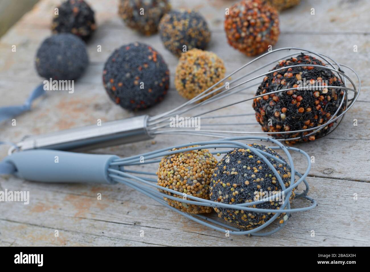 self-made bird fat balls in wire whiks, Germany Stock Photo