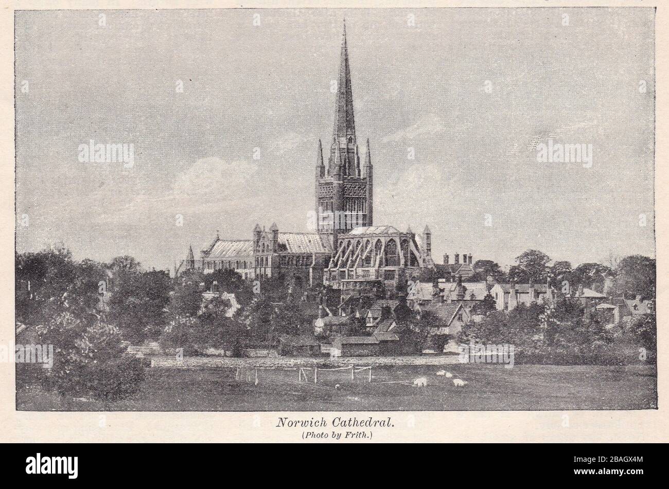 Vintage black and white photo of Norwich Cathedral 1900s. Stock Photo