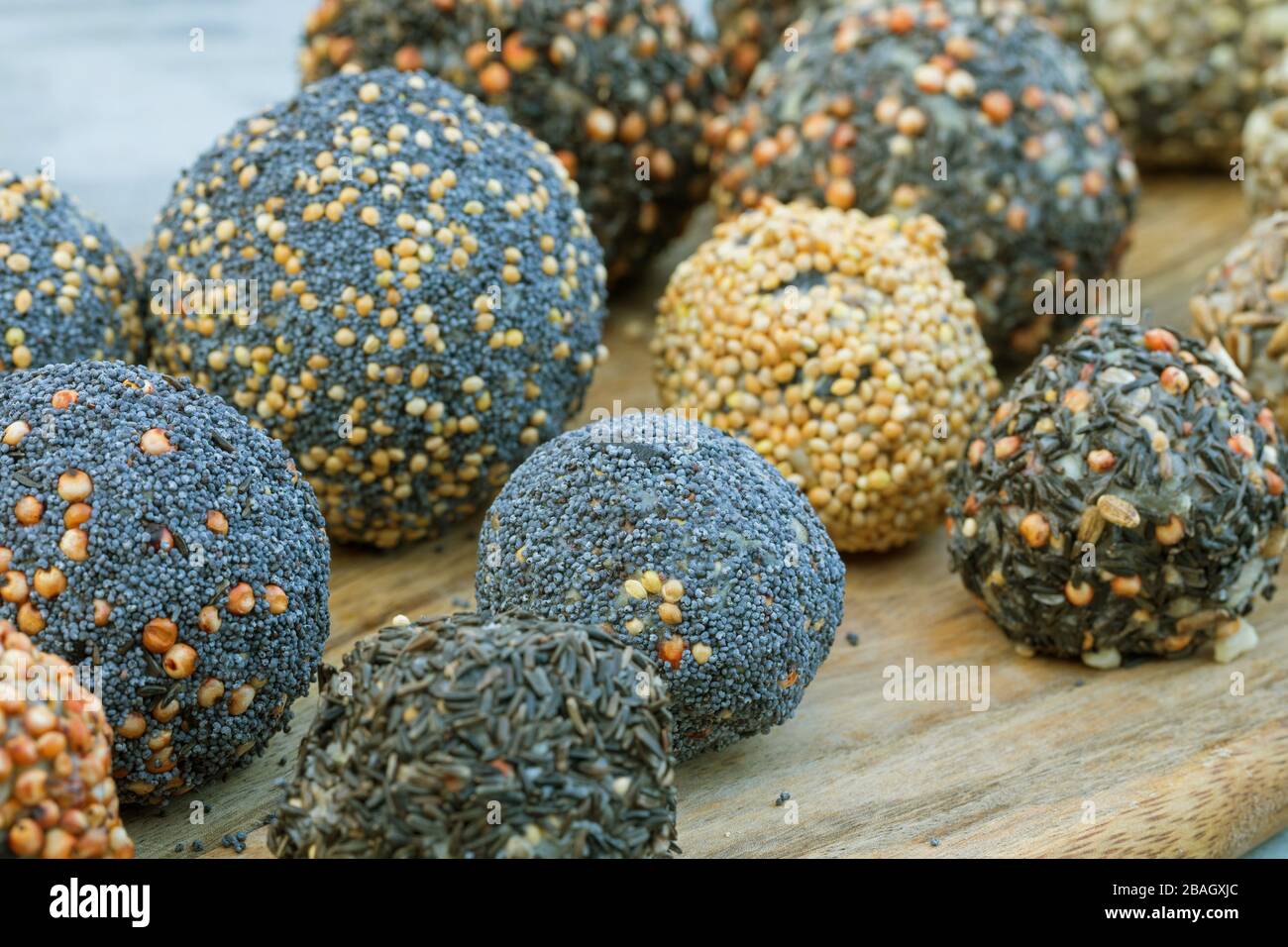 handmade bird fat balls with coconut oil, sunflower seeds, peanut