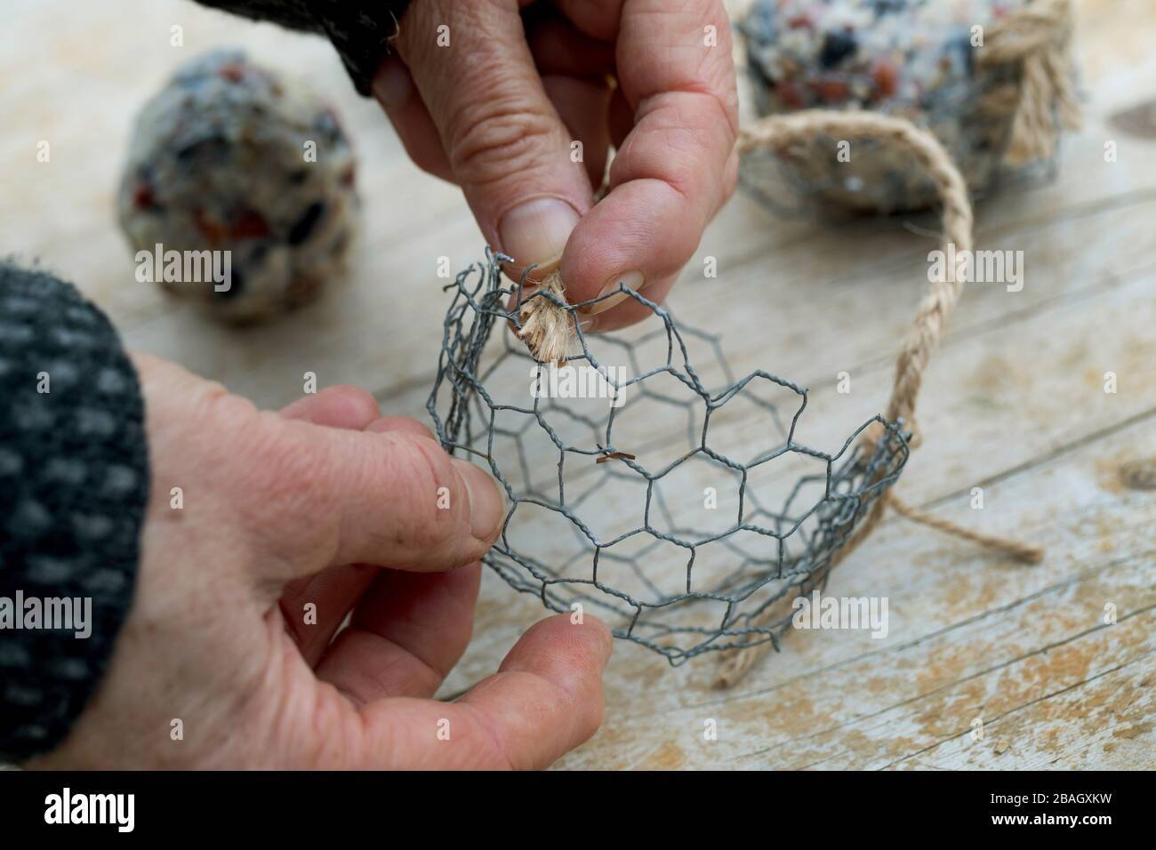 making a holder for fat balls, series picture 5/6, Germany Stock Photo