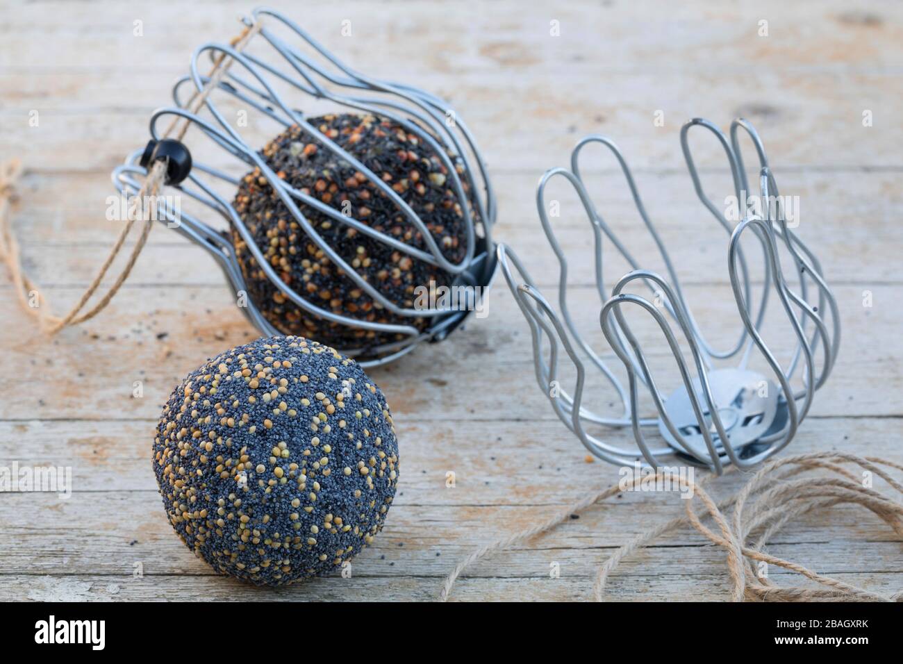 self-made bird fat balls in downpipe strainers, Germany Stock Photo