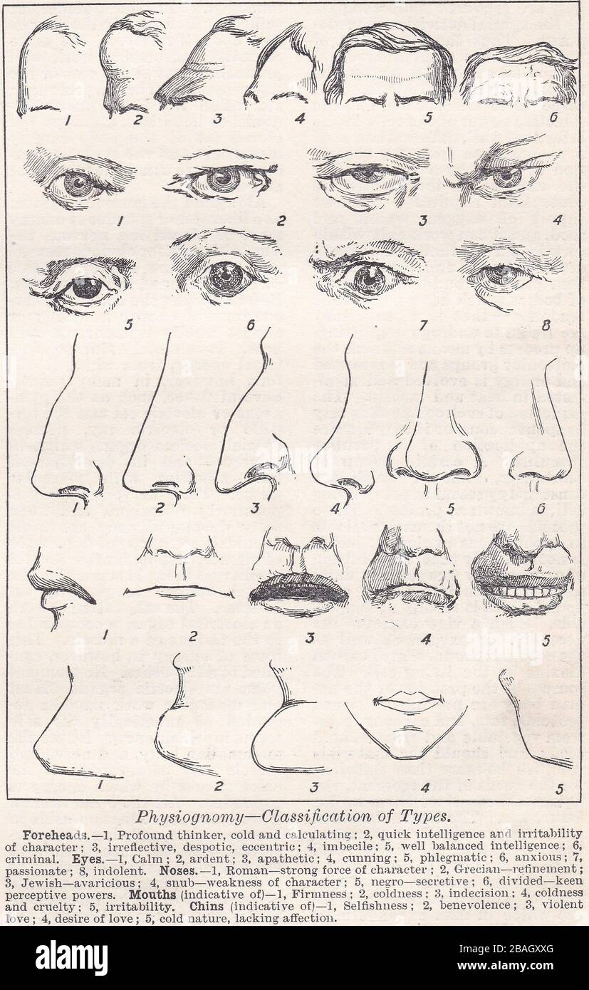  Types Of Chin