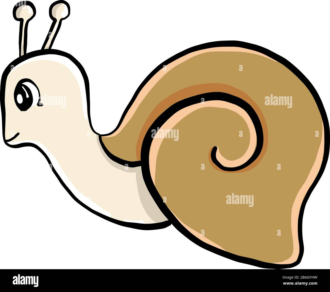 Shell of edible snail Stock Vector Images - Alamy