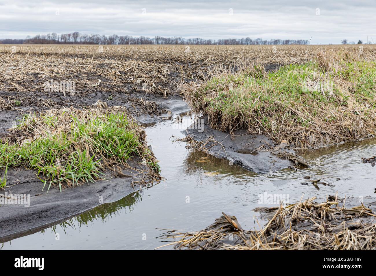 Farm field flooding and soil erosion after heavy rains and spring thunderstorms Stock Photo