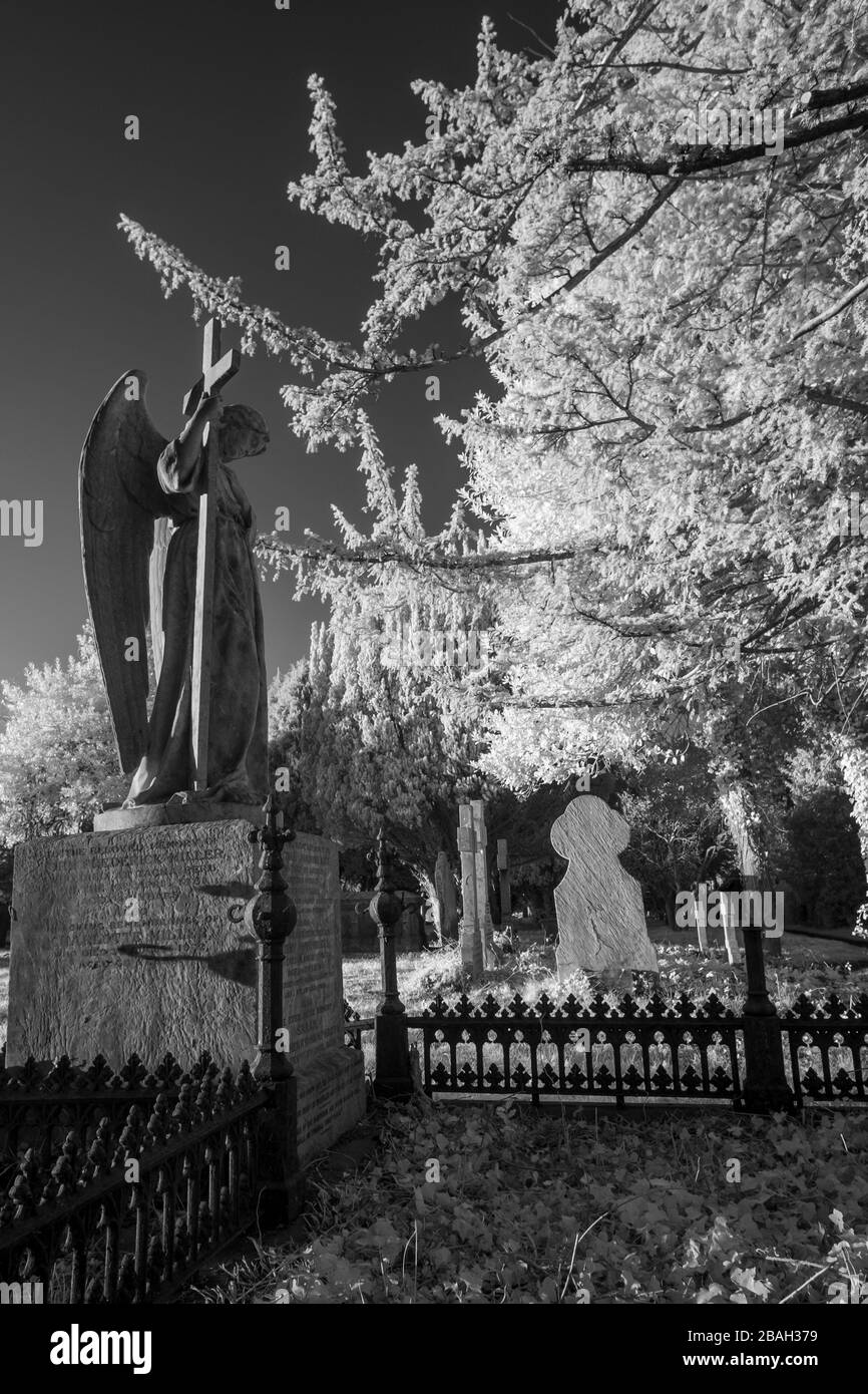 A statue of an angel holding a cross looks over multiple graves in a cemetery.  Taken in near-infrared (720nm). Stock Photo