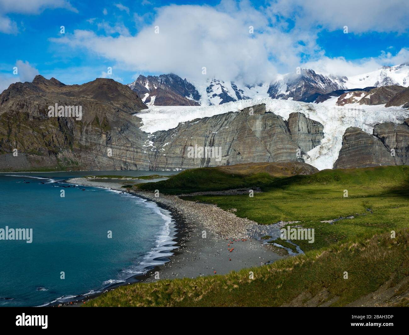 Stunning views over Gold Harbor, South Georgia Island with a large king penguin colony Stock Photo
