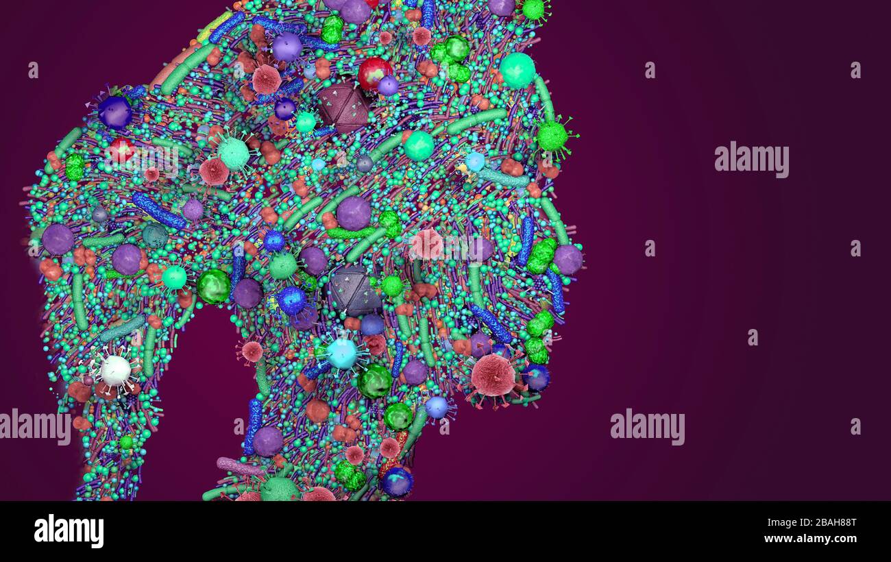 Normal microbiota hi-res stock photography and images - Alamy