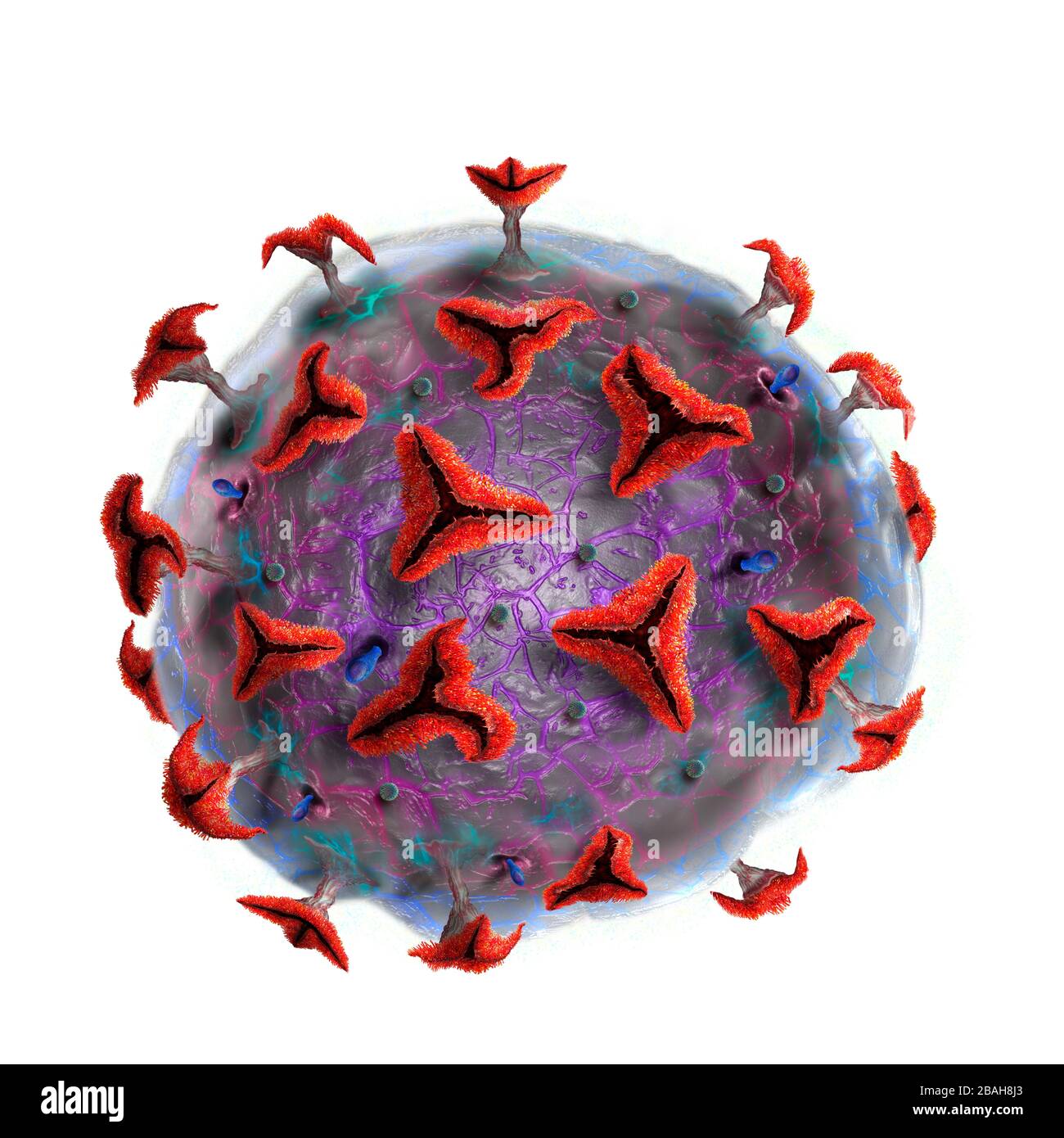 Coronavirus particle, illustration Stock Photo