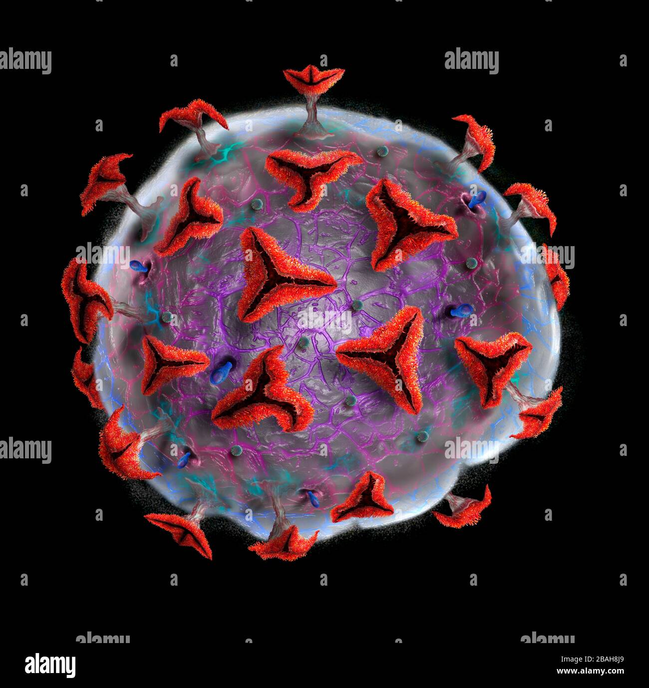 Coronavirus particle, illustration Stock Photo