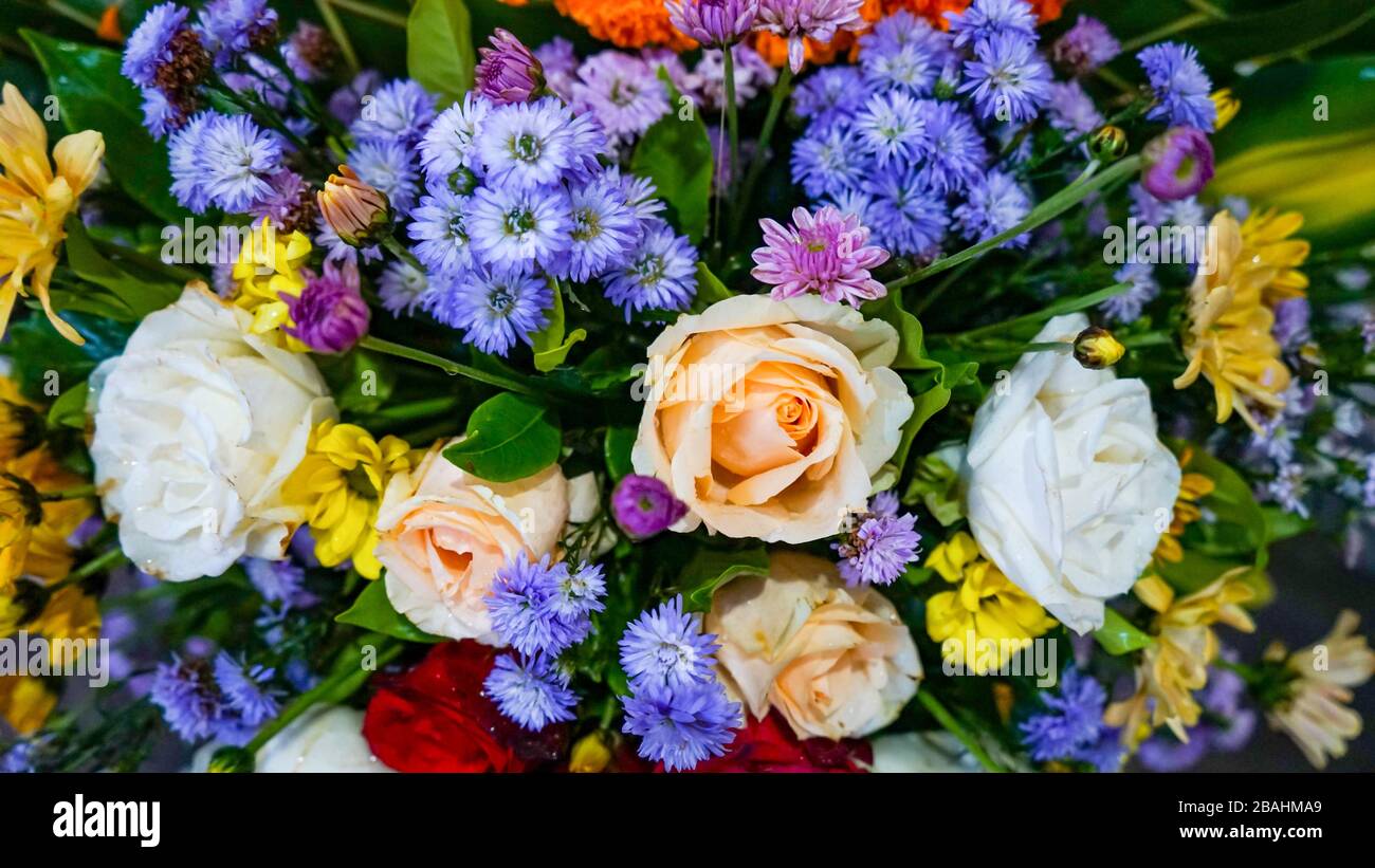 Full frame colorful flower arrangements as background Stock Photo