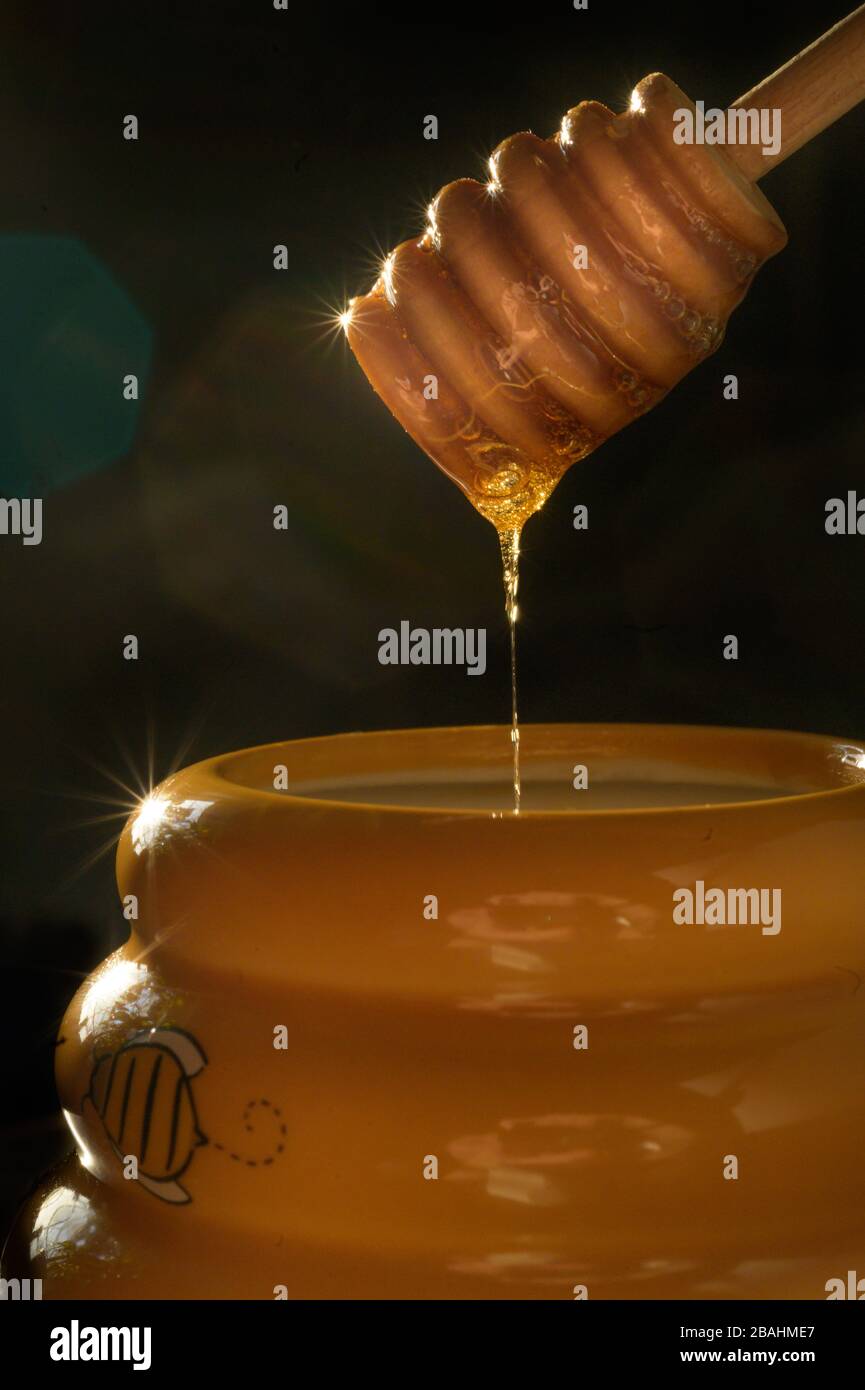 Tasty Dripping Honey pot photography - Low Key food images - high-quality food photos - Product photography Stock Photo