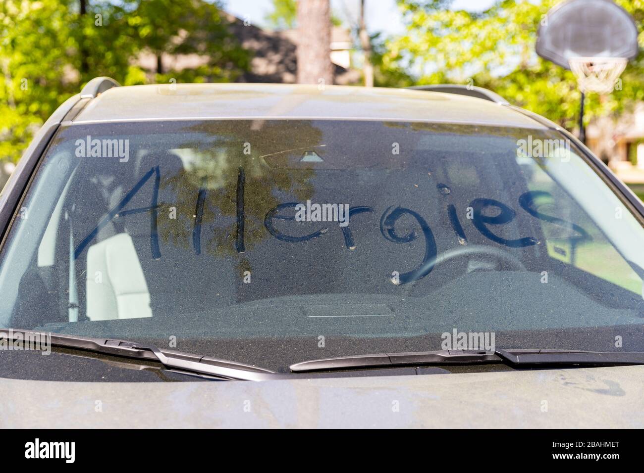 Pollen on vehicle windshield with the word 'Allergies' written in it. Stock Photo