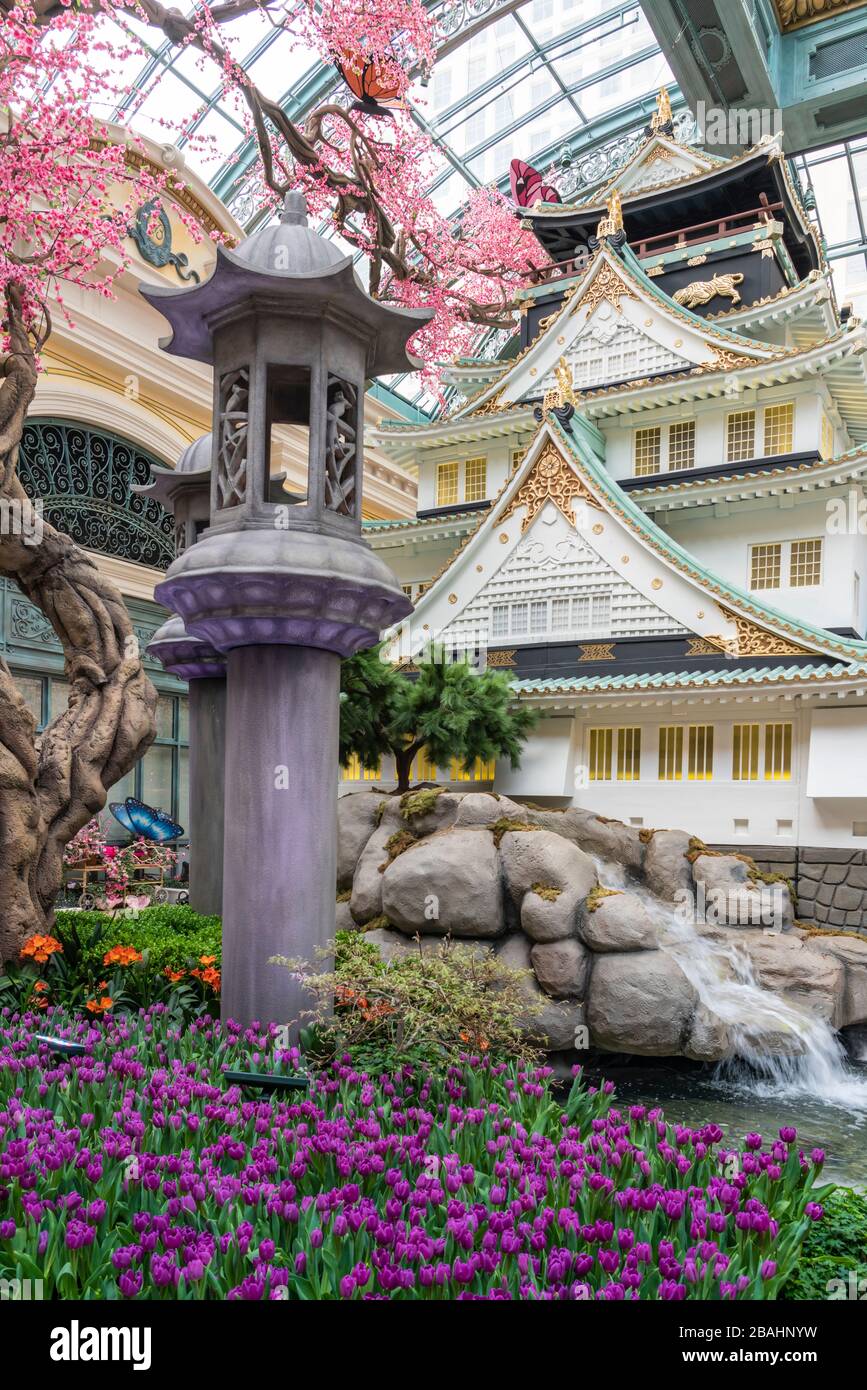 The indoor Conservatory & Botanical Gardens at the Bellagio Hotel and Casino complex along The Strip in Las Vegas, Nevada, USA. Stock Photo