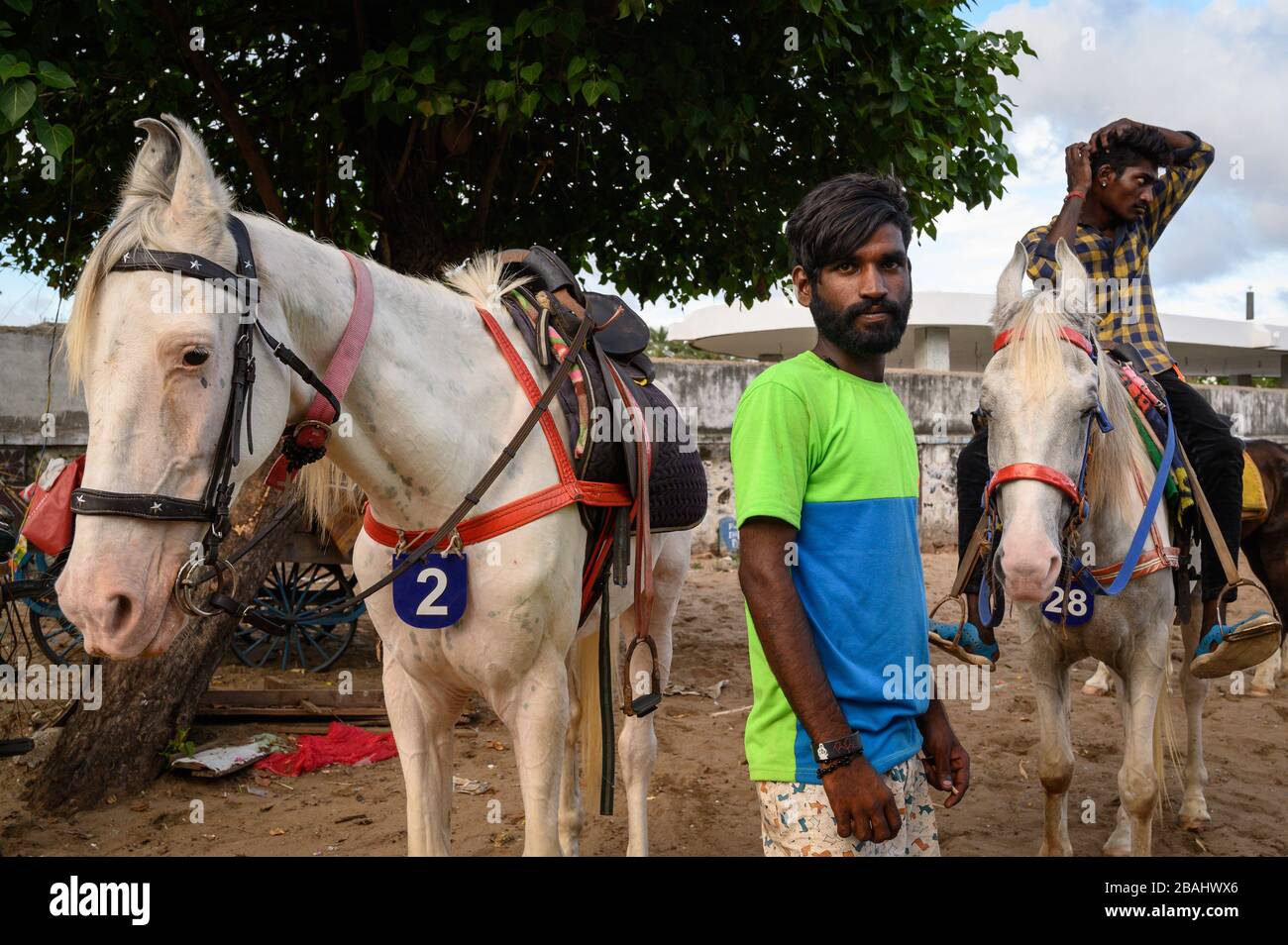 Riders and their horses on Marina Beach, Chennai, India Stock Photo