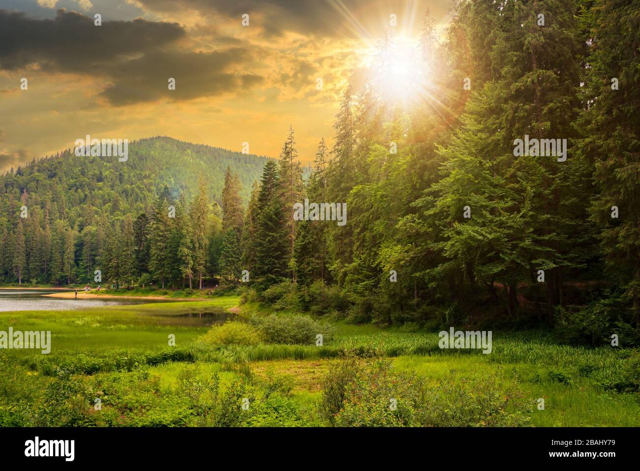 lake summer landscape. beautiful scenery among the forest in mountains Stock Photo