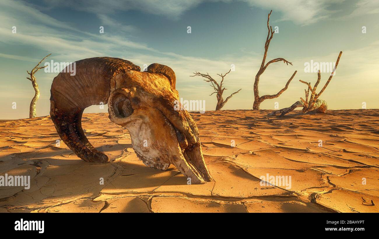 Animal skull on dry land desert landscape . This is a 3d render illustration . Stock Photo