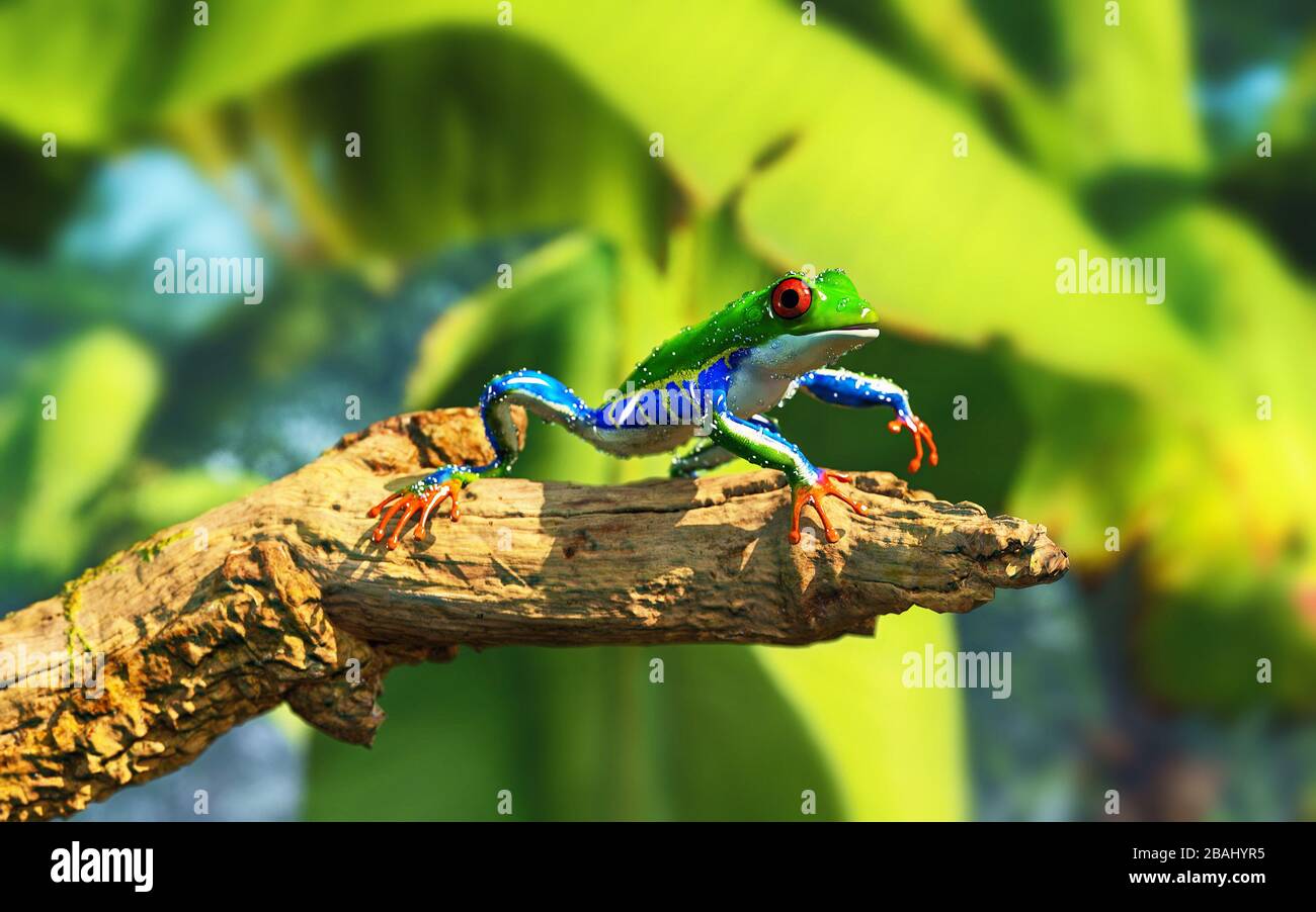 Green frog on a branch in the jungle . This is a 3d render illustration . Stock Photo