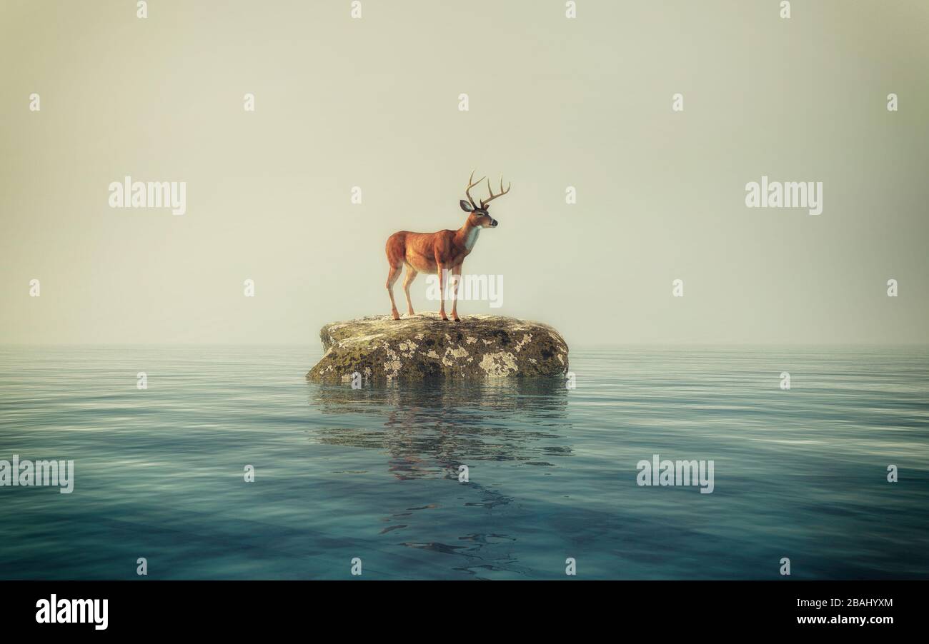 Deer on a rock in the ocean. This is a 3d render illustration . Stock Photo