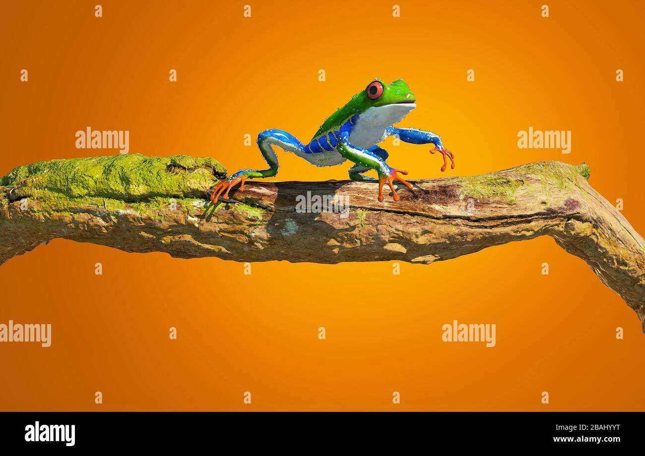 Green frog on a branch isolated un orange background . This is a 3d render illustration. Stock Photo