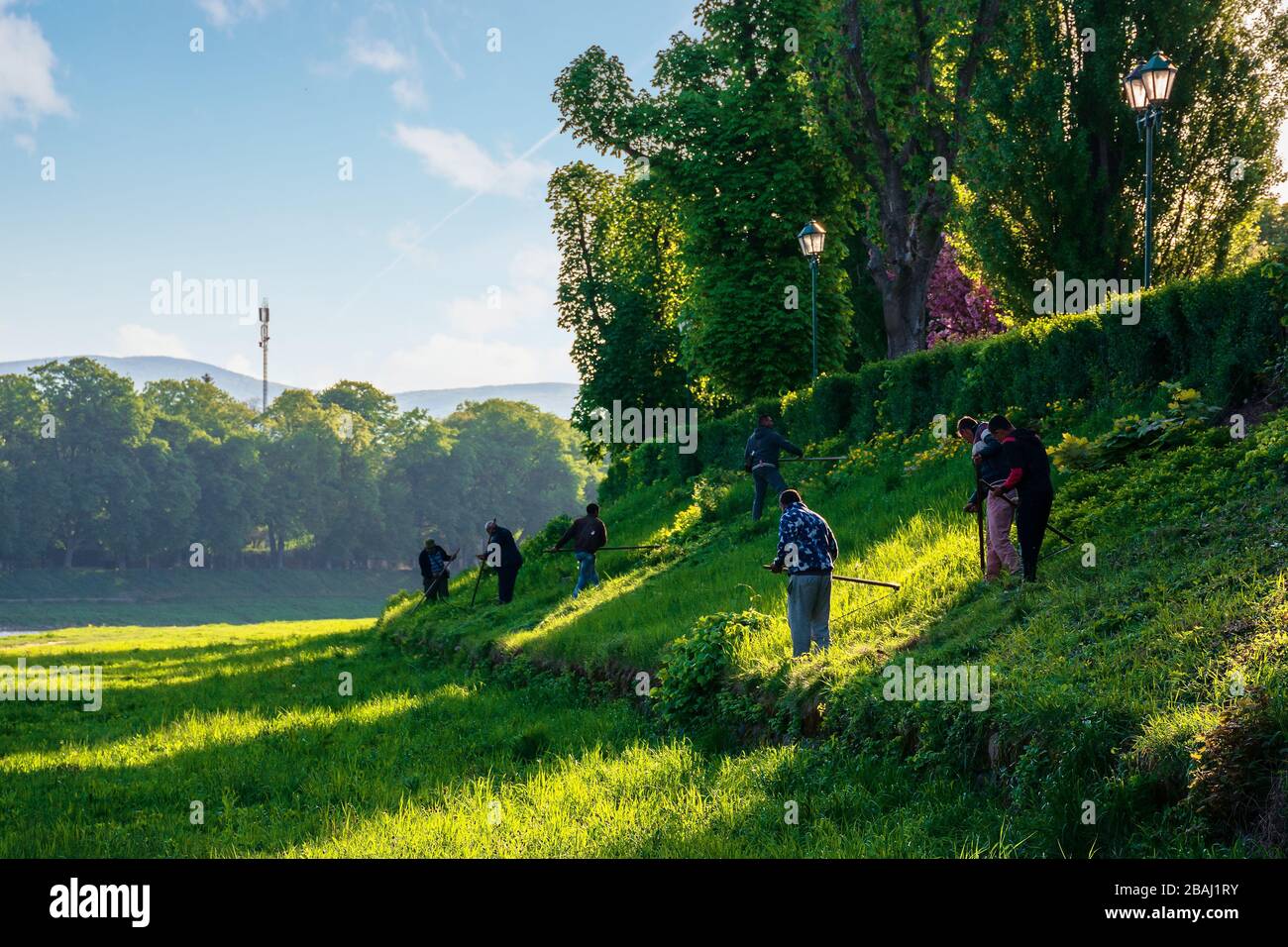 group of people scything the grass on a hump. lawn mowing in an old-school way on a sunny morning in springtime. location kyiv embankment in uzhgorod Stock Photo