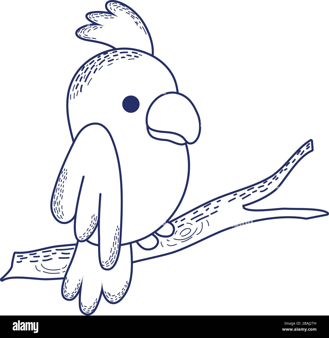 cute bird on a branch drawing