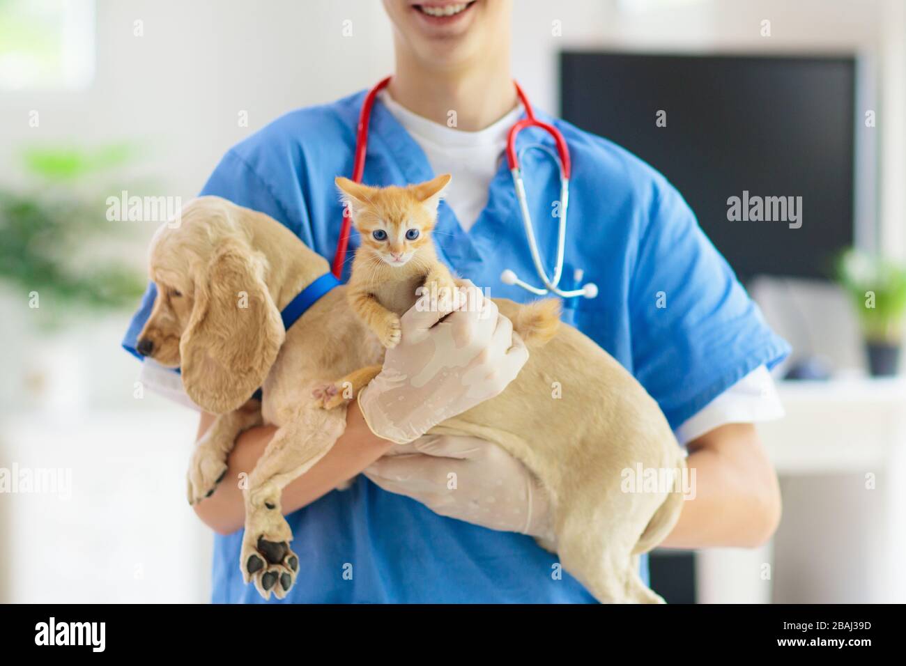 shot clinic for cats