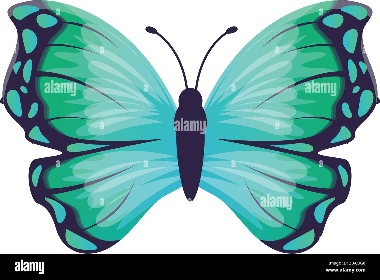 Wing butterfly icon. Cartoon of wing butterfly vector icon for web ...