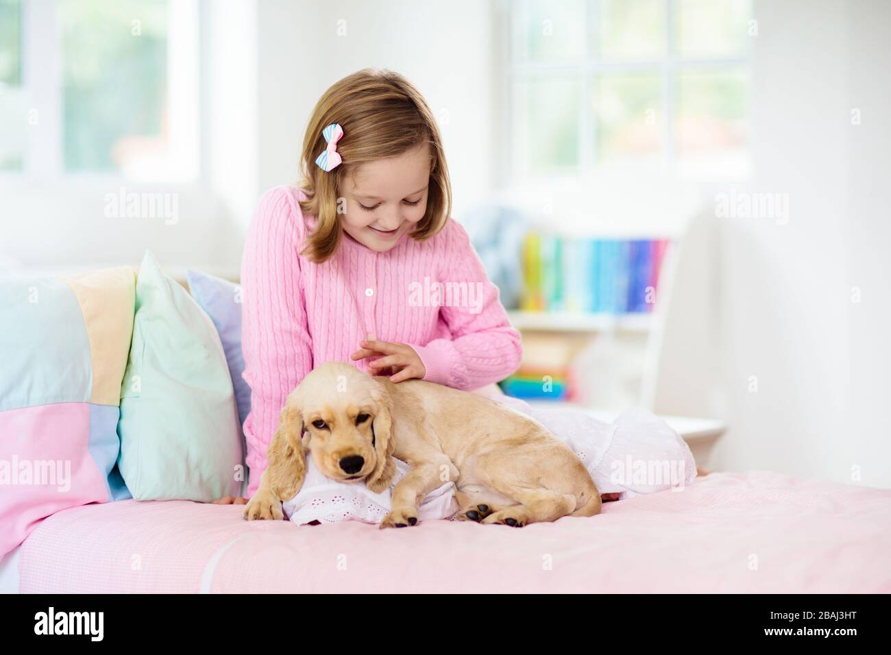 Child Playing With Baby Dog Kids Play With Puppy Little Girl And American Cocker Spaniel On Bed At Home Children And Pets At Home Kid Taking Nap W Stock Photo Alamy