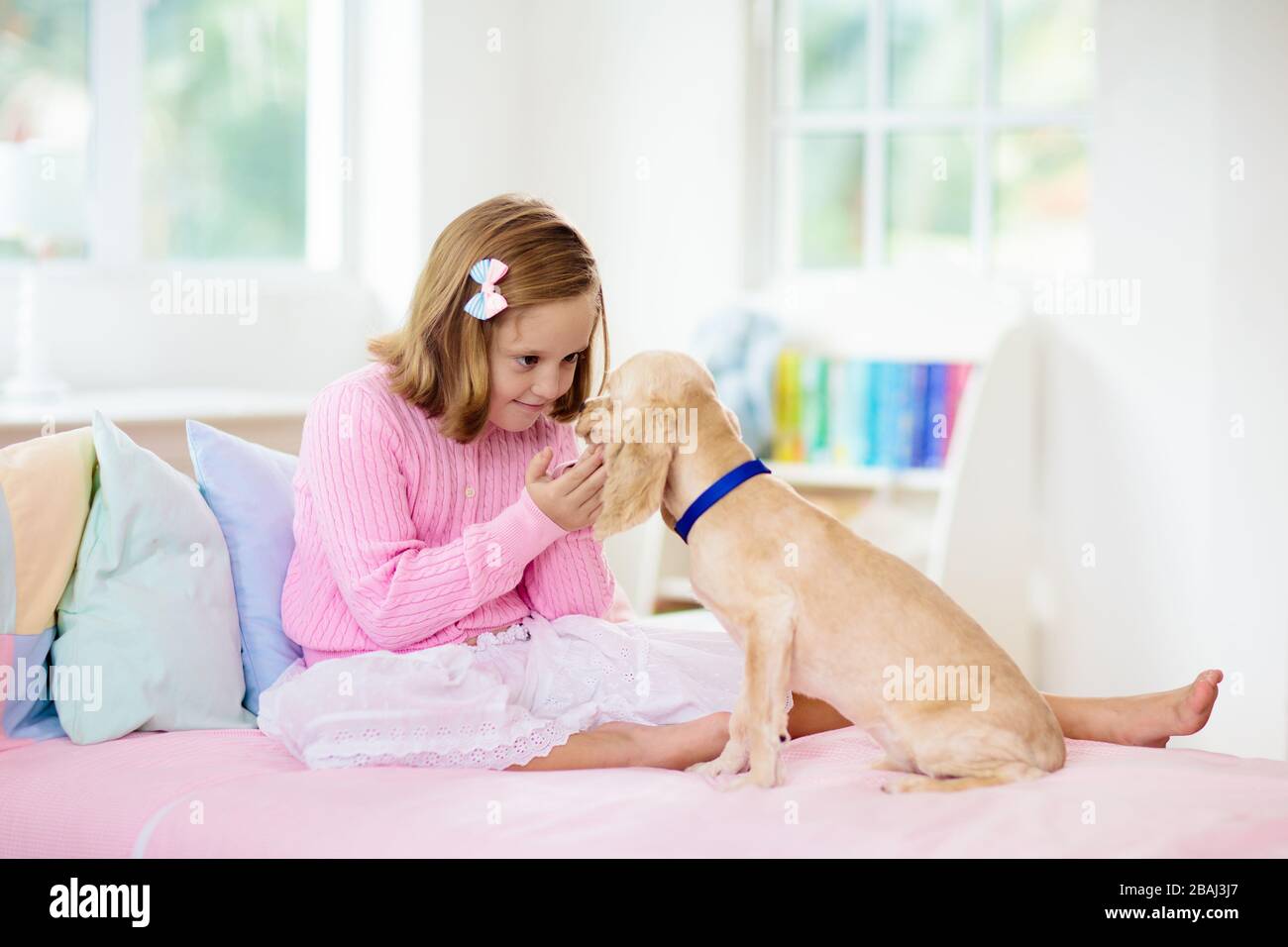 Child Playing With Baby Dog Kids Play With Puppy Little Girl And American Cocker Spaniel On Bed At Home Children And Pets At Home Kid Taking Nap W Stock Photo Alamy Child Playing With Baby Dog Kids Play With Puppy Little Girl And American Cocker Spaniel On Bed At Home Children And Pets At Home Kid Taking Nap W Stock Photo Alamy
