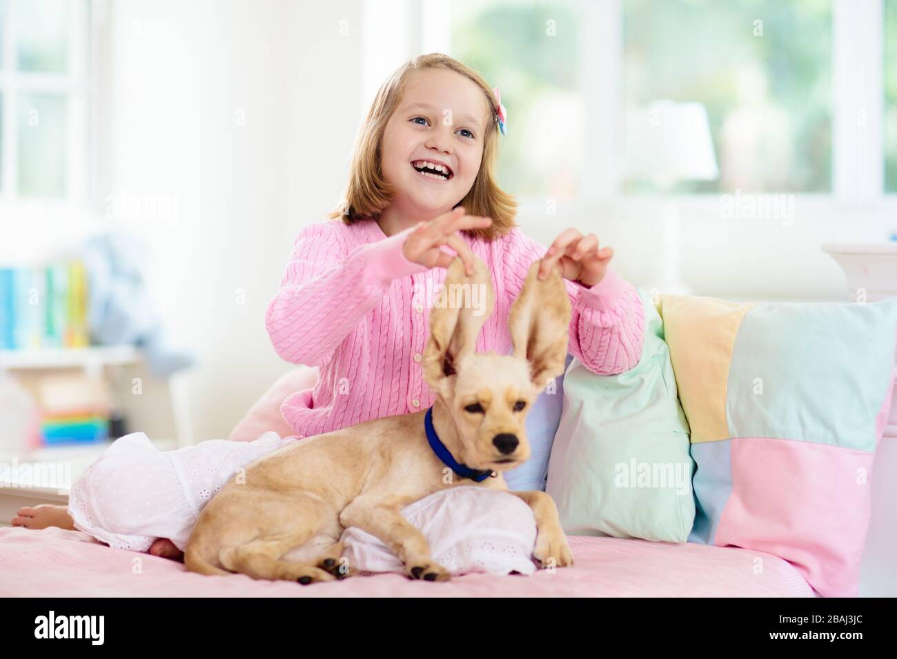 Child Playing With Baby Dog Kids Play With Puppy Little Girl And American Cocker Spaniel On Bed At Home Children And Pets At Home Kid Taking Nap W Stock Photo Alamy Child Playing With Baby Dog Kids Play With Puppy Little Girl And American Cocker Spaniel On Bed At Home Children And Pets At Home Kid Taking Nap W Stock Photo Alamy