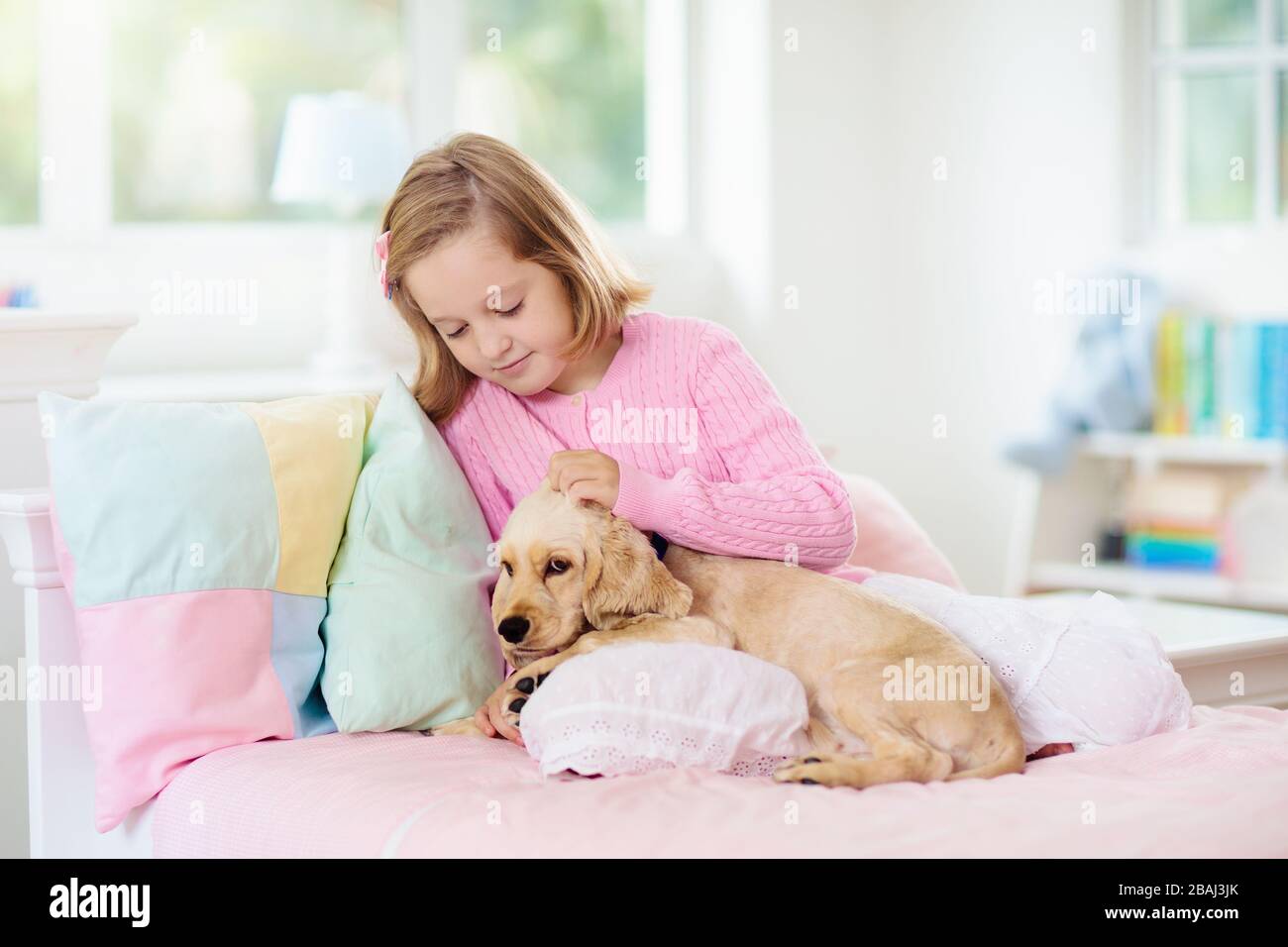 Child Playing With Baby Dog Kids Play With Puppy Little Girl And American Cocker Spaniel On Bed At Home Children And Pets At Home Kid Taking Nap W Stock Photo Alamy Child Playing With Baby Dog Kids Play With Puppy Little Girl And American Cocker Spaniel On Bed At Home Children And Pets At Home Kid Taking Nap W Stock Photo Alamy