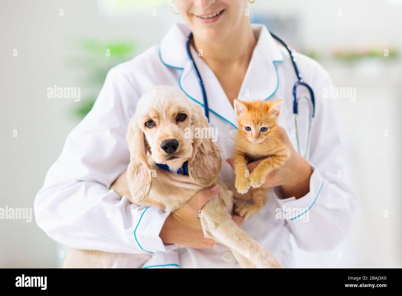 pet immunization clinic
