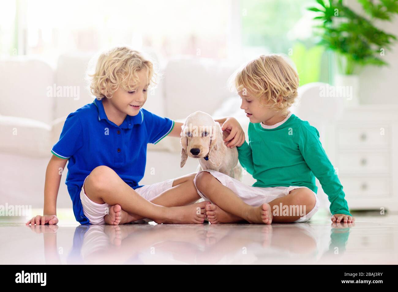 Child Playing With Baby Dog Kids With Puppy Little Boy And American Cocker Spaniel At Couch At Home Children And Pets At Home Kid Sitting On The F Stock Photo Alamy Child Playing With Baby Dog Kids With Puppy Little Boy And American Cocker Spaniel At Couch At Home Children And Pets At Home Kid Sitting On The F Stock Photo Alamy