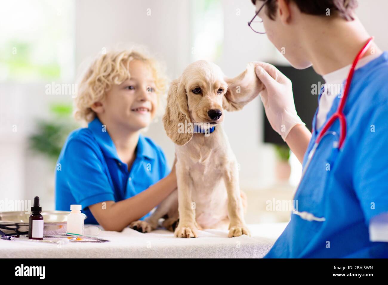 Vet examining dog little boy watching. Child and puppy at