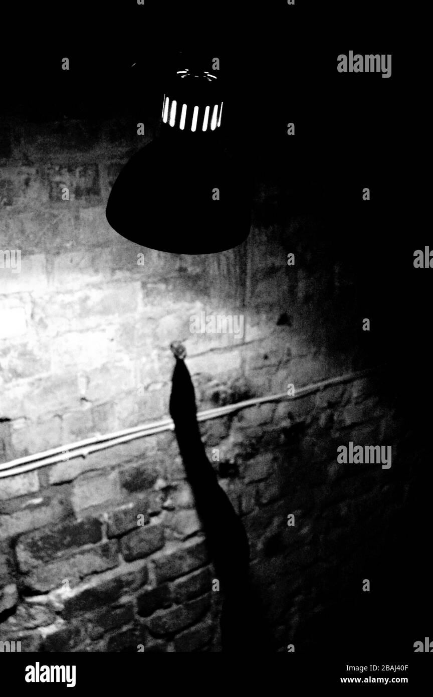 Decorative lamp hanging from the ceiling Stock Photo Alamy