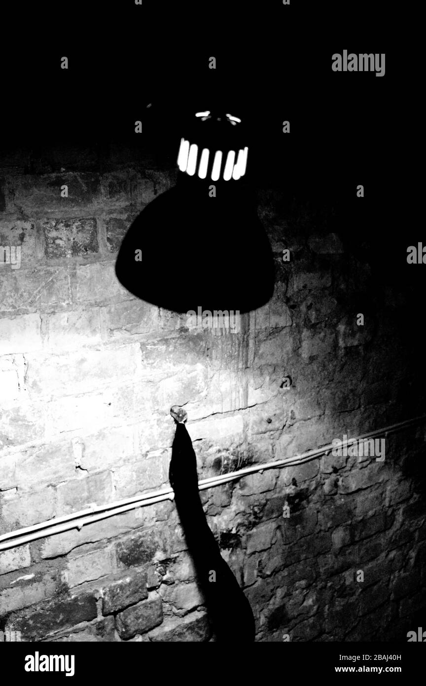 Decorative lamp hanging from the ceiling Stock Photo Alamy