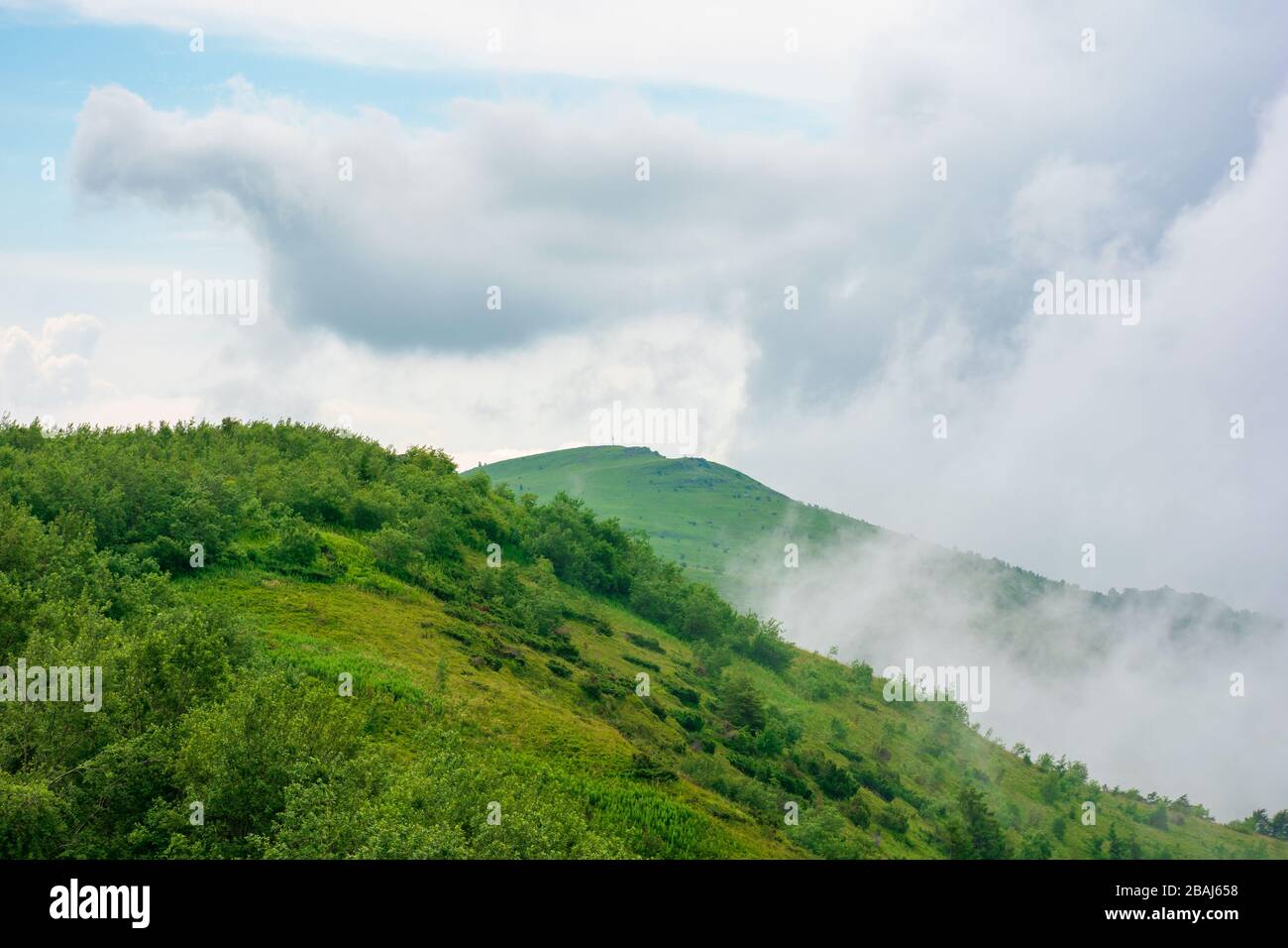 alpine meadows of mnt. runa, ukraine. beautiful nature scenery of carpathian mountains in summer. cloudy weather Stock Photo