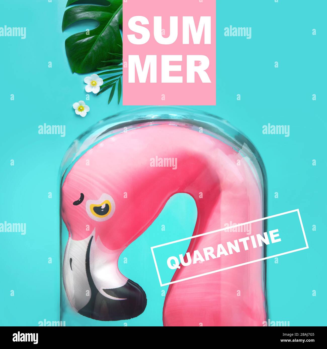 Flamingo isolated Quarantined summer, vacations canceled. Protection coronavirus Stock Photo
