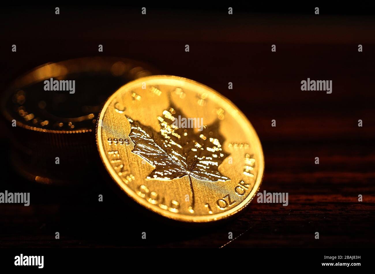 Goldmünzen - Gold - Münzen - Maple Leaf Stock Photo