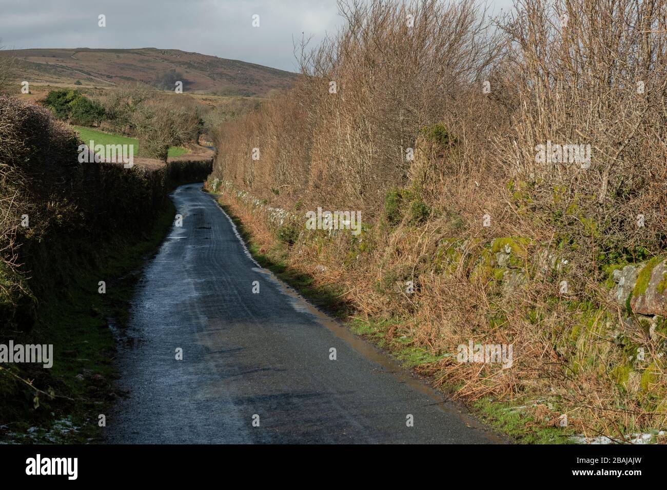 Typical hedged Dartmoor minor road, near Ponsworthy, Dartmoor National
