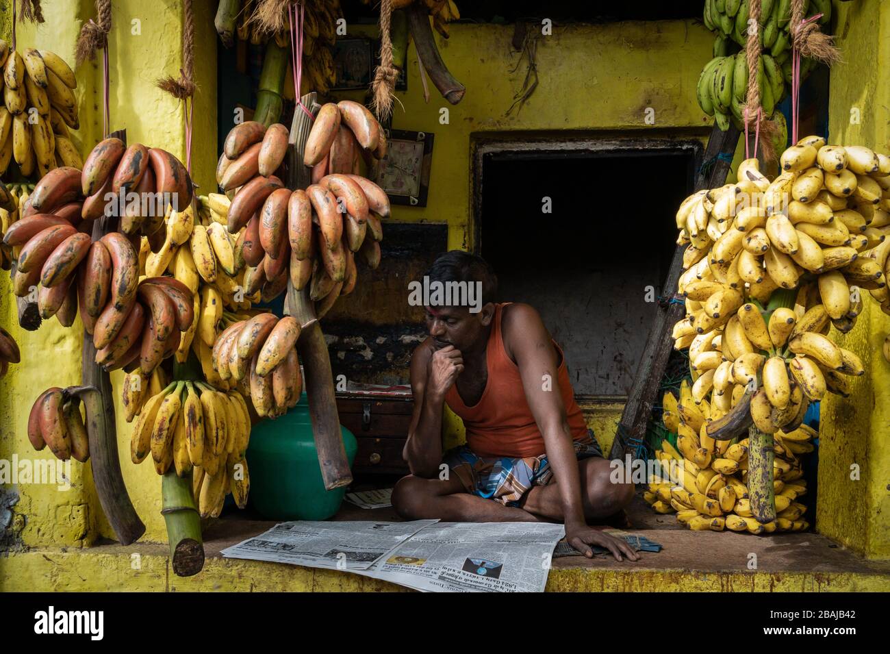 Vendor reading his paper at the banana market, Madurai, India Stock Photo