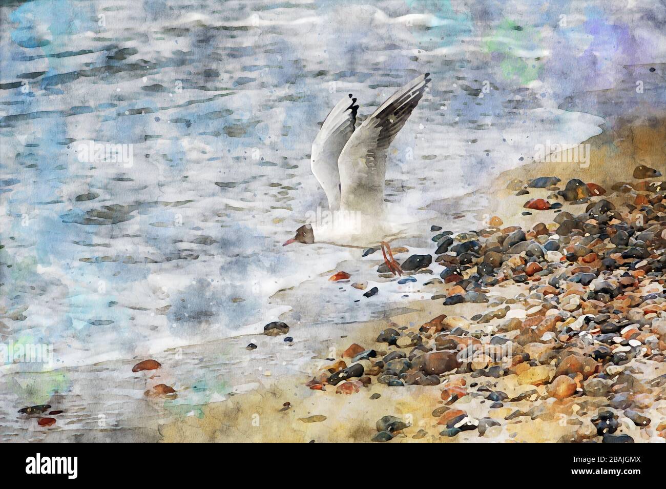digital illustration of seagull flying over the baltic sea waves looking for food. Water colors. Stock Photo