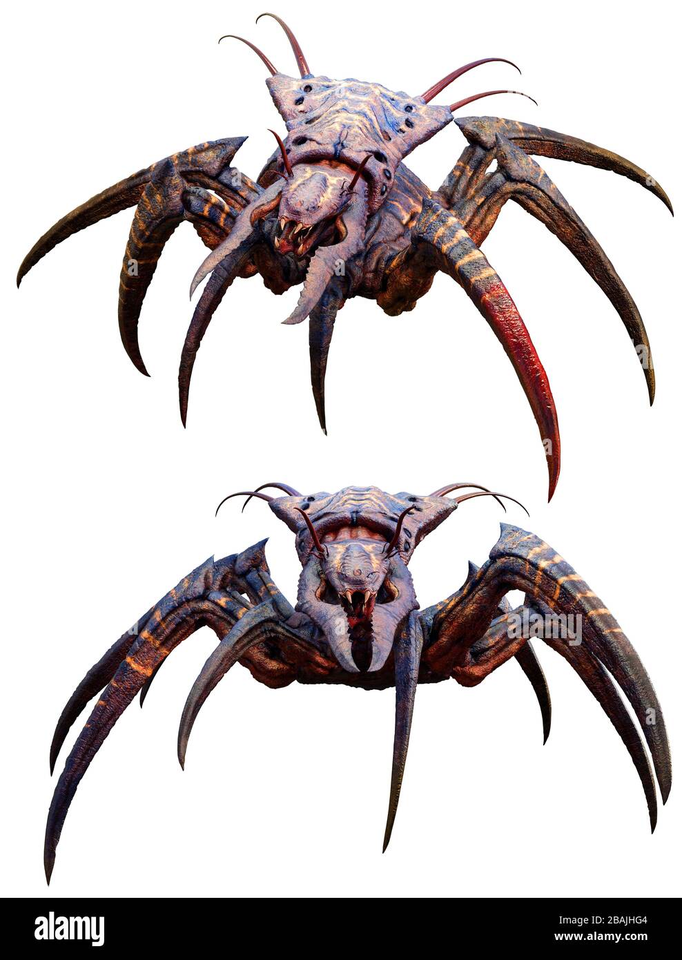 Arachnid horror creature 3D illustration Stock Photo