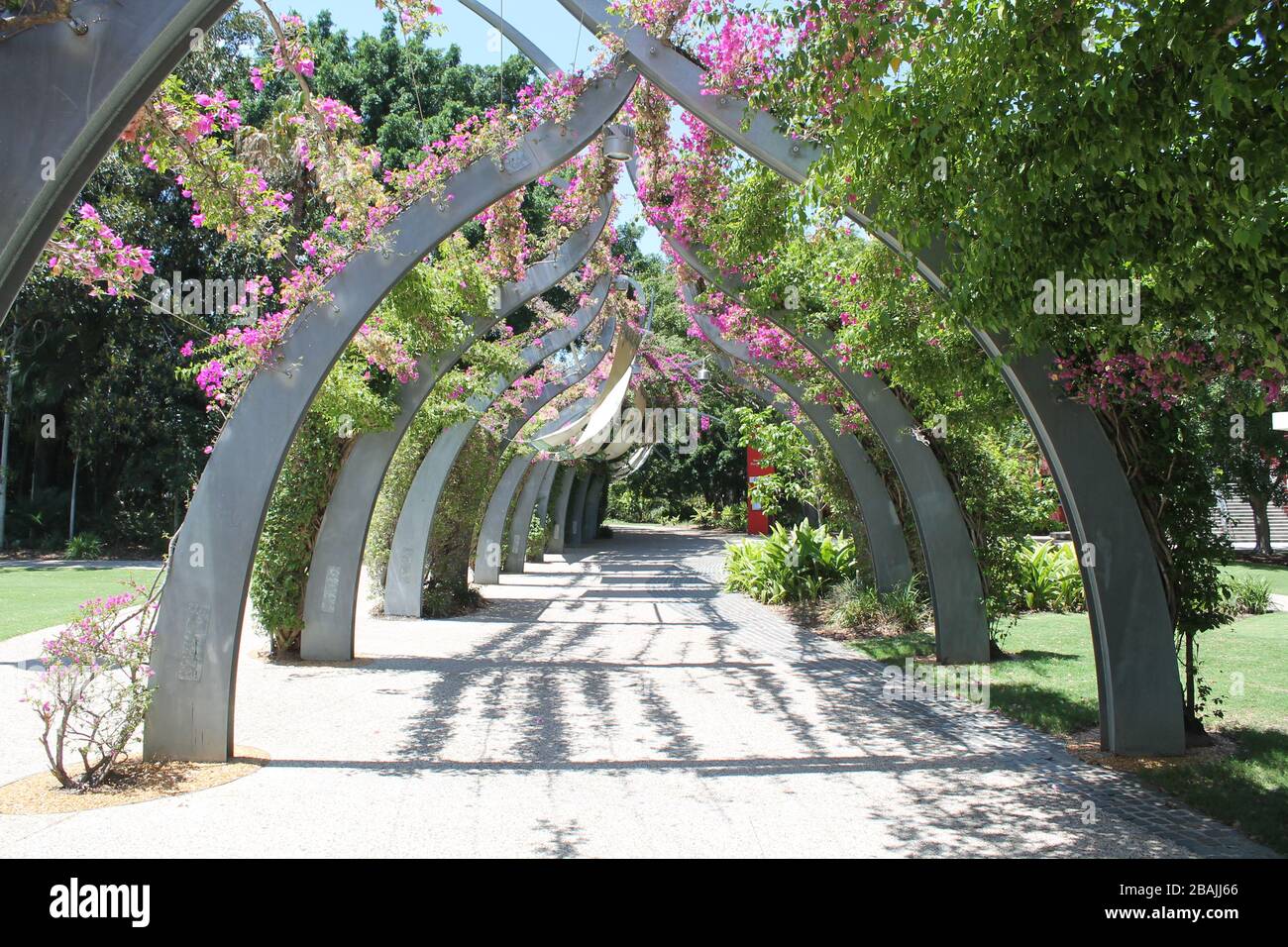 City garden in Brisbane, Australia at the Gold Coast Stock Photo