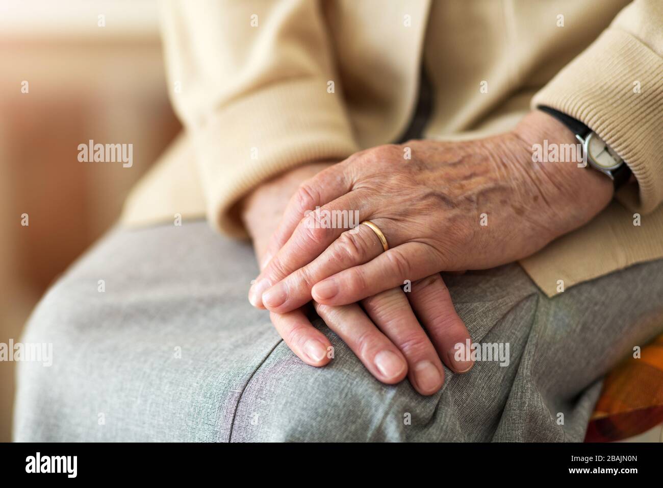 Wrinkled hands of a senior woman Stock Photo