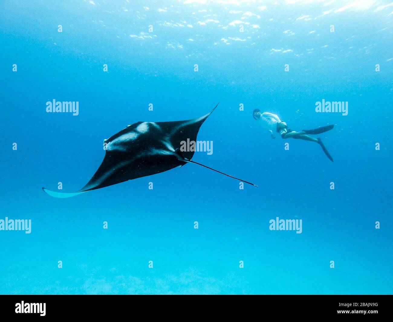 Diving fins ocean hi-res stock photography and images - Alamy