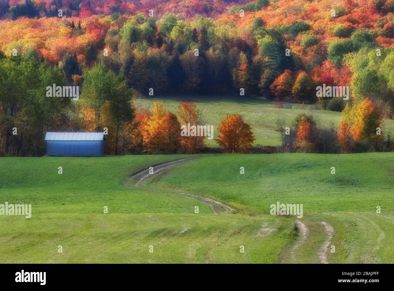 Fall landscape field trees hills hi-res stock photography and images ...